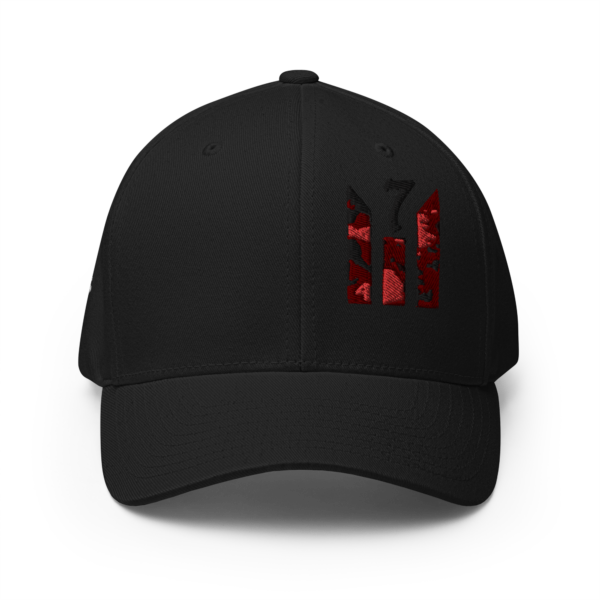 SET CAP FREE WORDS FITTED HAT - Image 7