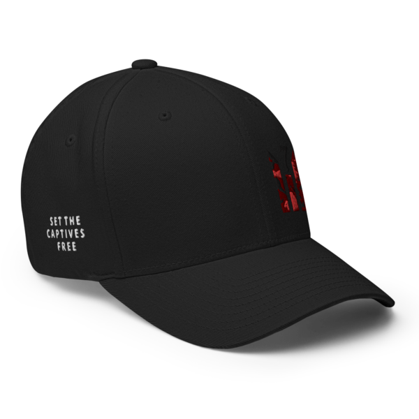 SET CAP FREE WORDS FITTED HAT - Image 8