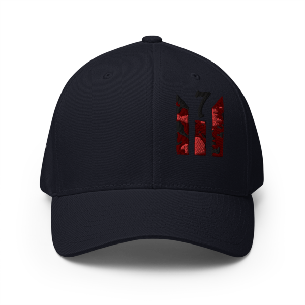 SET CAP FREE WORDS FITTED HAT - Image 5