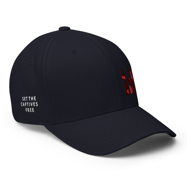 SET CAP FREE WORDS FITTED HAT - Image 6