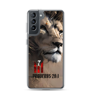 PROV 28:1 Samsung Case